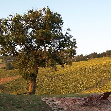 Podere Del Fagiano Толентіно Екстер'єр фото